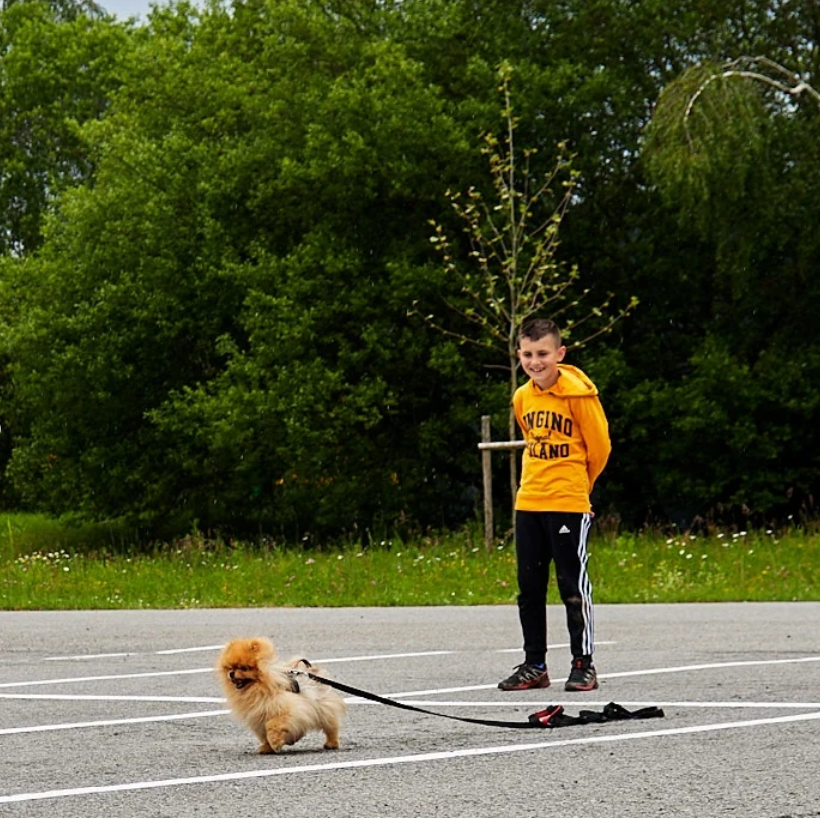Einzeltraining