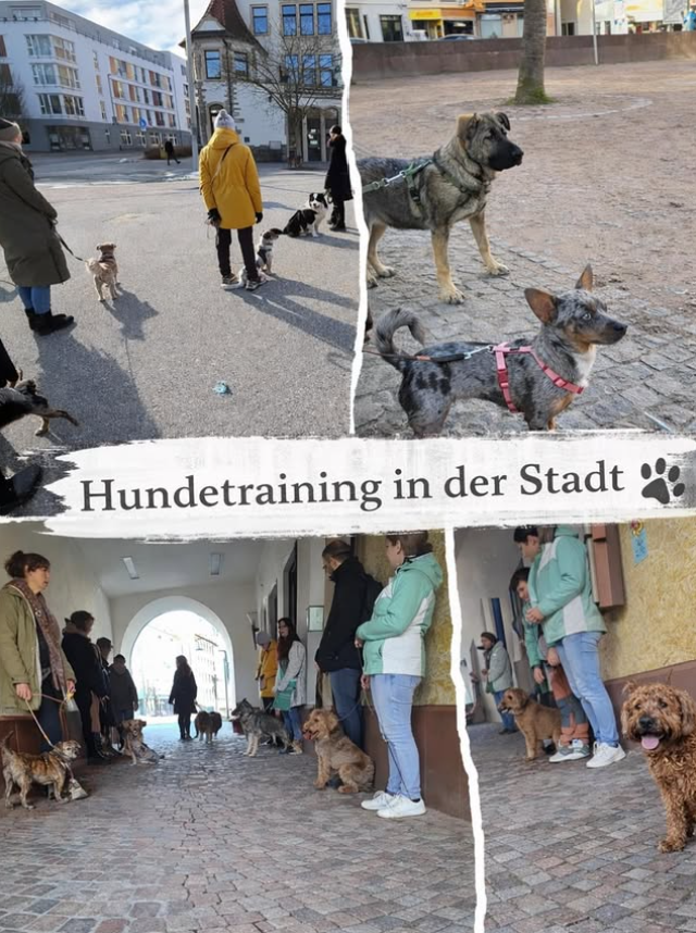 Alltagstraining