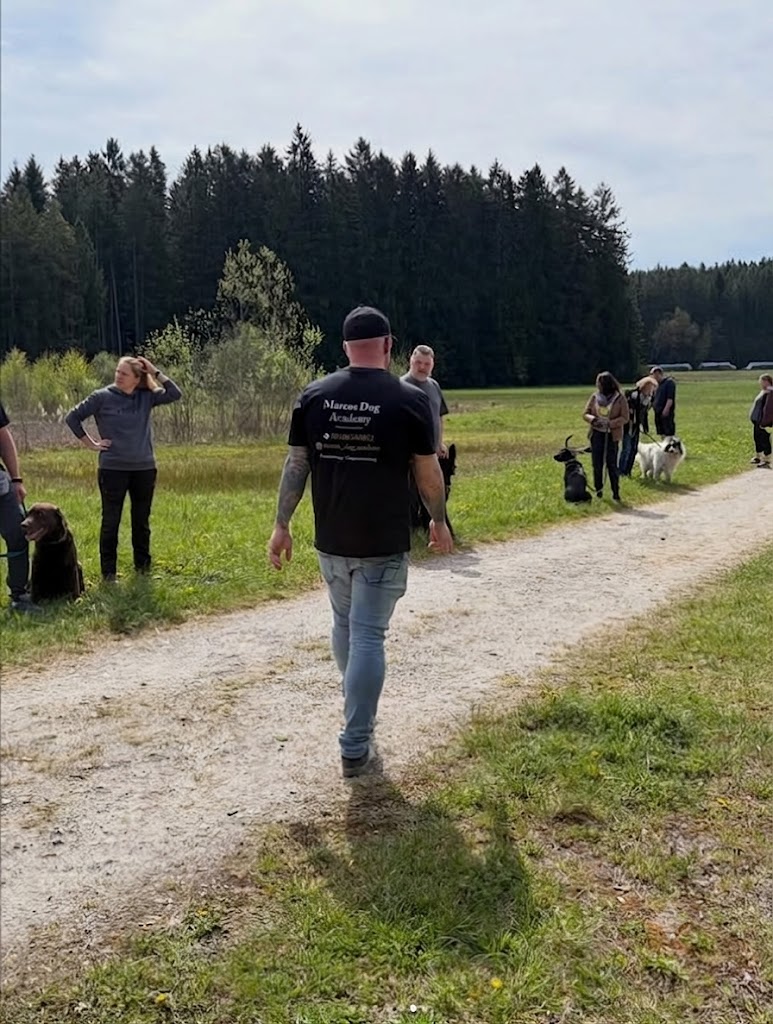 Social Walks