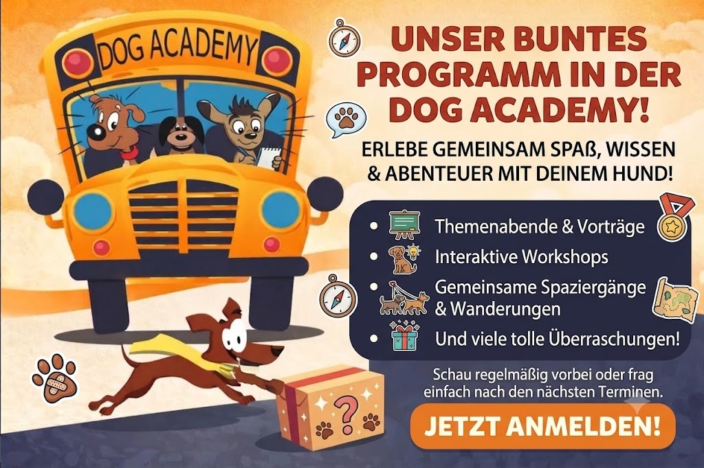 Weitere Veranstaltungen